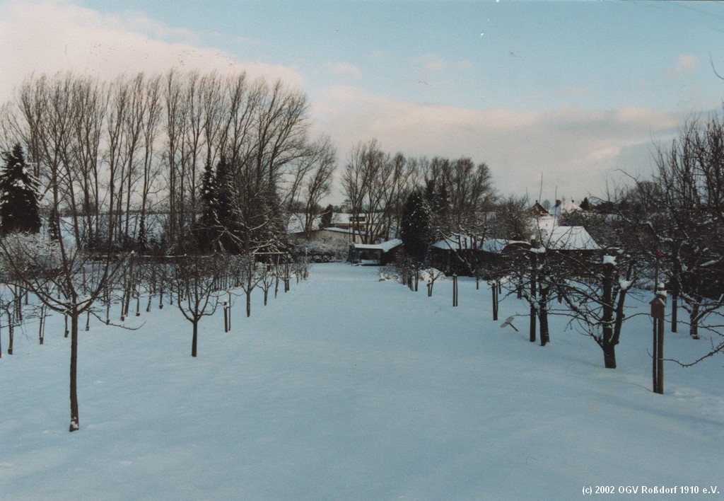 Winterimpressionen 2002